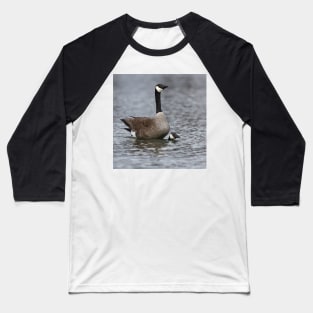 Mating Canada Geese Baseball T-Shirt